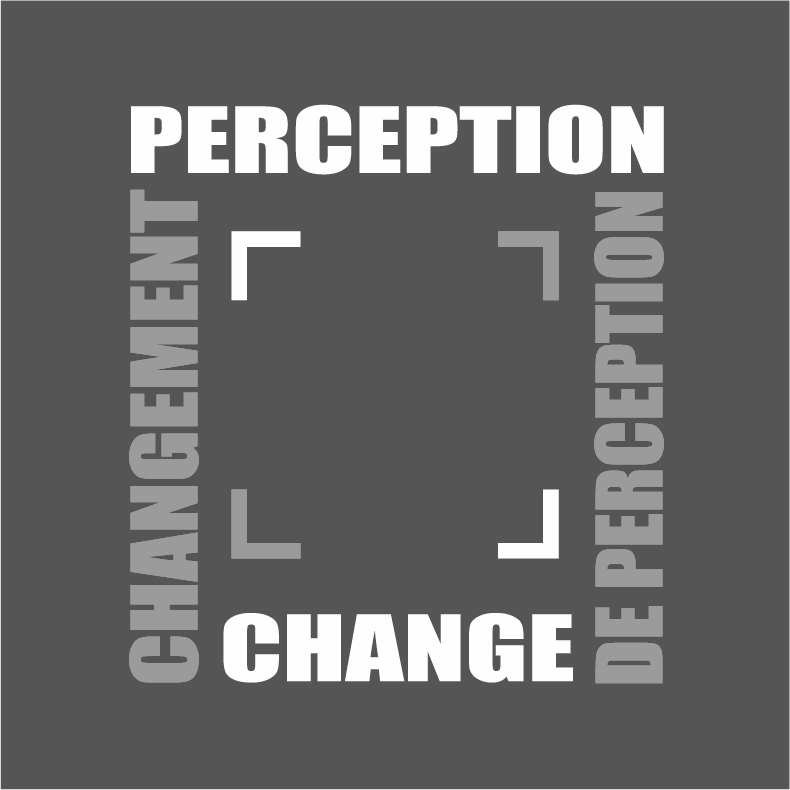 perception changement project